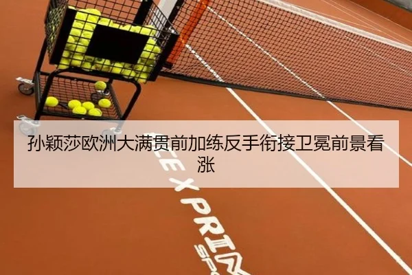 孙颖莎欧洲大满贯前加练反手衔接卫冕前景看涨 - huatihui
