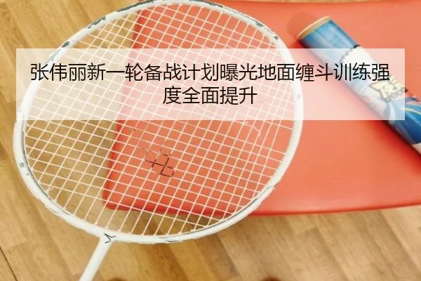 张伟丽新一轮备战计划曝光地面缠斗训练强度全面提升 - huatihui